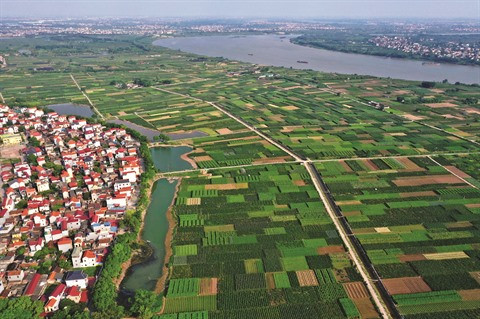 Les légumes bio de Van Duc à l’exportation ảnh 1 Les légumes bio de Van Duc à l’exportation ảnh 1