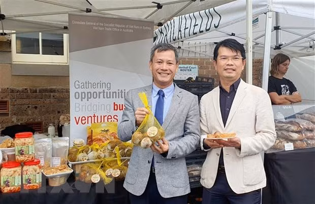 Des sapotilles surgelées vietnamiennes présentées en Australie ảnh 1
