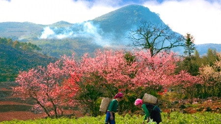 La région montagneuse du Viêt Bac: Connexion pour promouvoir le patrimoine ảnh 1