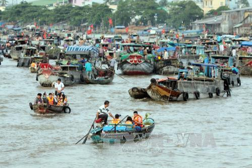 14,5 millions d'USD pour édifier un centre de données environnementales dans le delta du Mékong ảnh 1