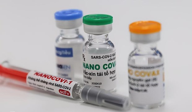 COVID-19: Nanogen doit poursuivre les évaluations sur l’efficacité de protection du vaccin Nanocovax ảnh 1 COVID-19: Nanogen doit poursuivre les évaluations sur l’efficacité de protection du vaccin Nanocovax ảnh 1