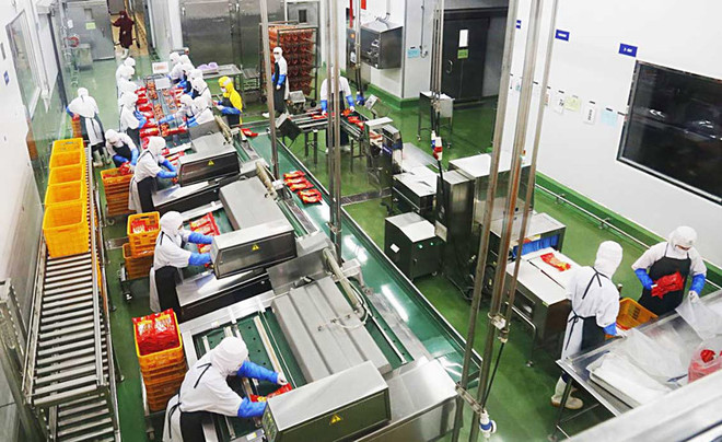 Hanoï cherche à améliorer ses capacités de transformation de produits agricoles ảnh 2 Hanoï cherche à améliorer ses capacités de transformation de produits agricoles ảnh 2