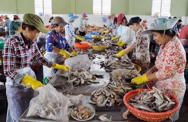Le Canada continue de soutenir le développement des PME à Tra Vinh ảnh 1