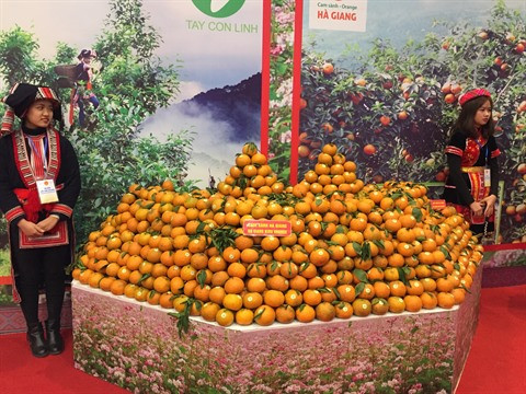 L’essor futur de la province de Hà Giang à l’honneur ảnh 3 L’essor futur de la province de Hà Giang à l’honneur ảnh 3