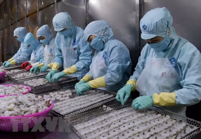 ​Hausse de 15,6% des exportations des produits aquatiques en janvier ảnh 1