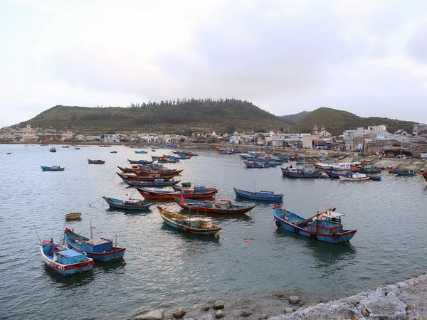 Des mesures rigoureuses pour lutter contre la pêche INN ảnh 1 Des mesures rigoureuses pour lutter contre la pêche INN ảnh 1