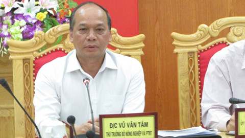 Les indemnités pour les pêcheurs seront versées dans plus d’un mois ảnh 1 Les indemnités pour les pêcheurs seront versées dans plus d’un mois ảnh 1