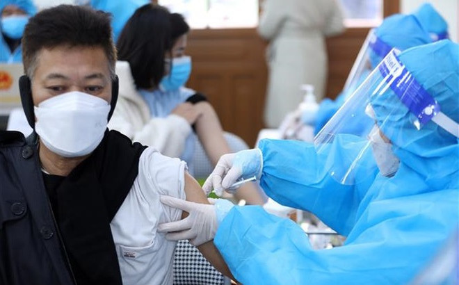 Le Vietnam parmi six pays à la couverture vaccinale la plus élevée au monde ảnh 3