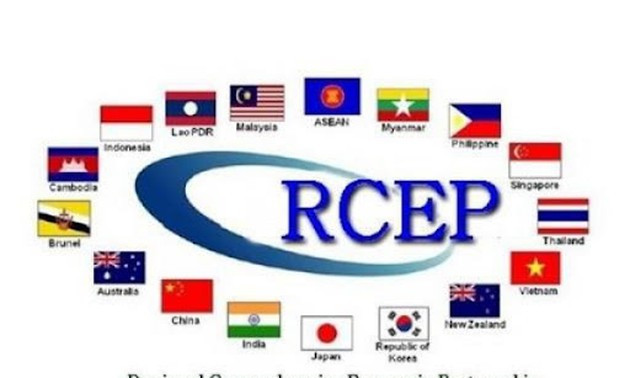 Le RCEP, le plus grand accord de libre-échange au monde, entre en vigueur ảnh 1