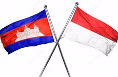 Les dirigeants cambodgien et indonésien discutent de la coopération avec l'ASEAN ảnh 1