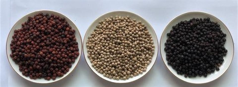 Davantage d'opportunités d'exportation de poivres vers l'Europe ảnh 1