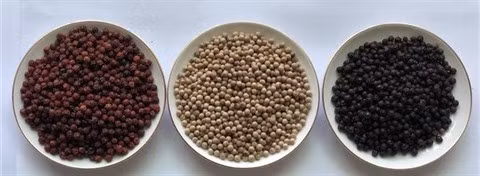 Davantage d'opportunités d'exportation de poivres vers l'Europe ảnh 1