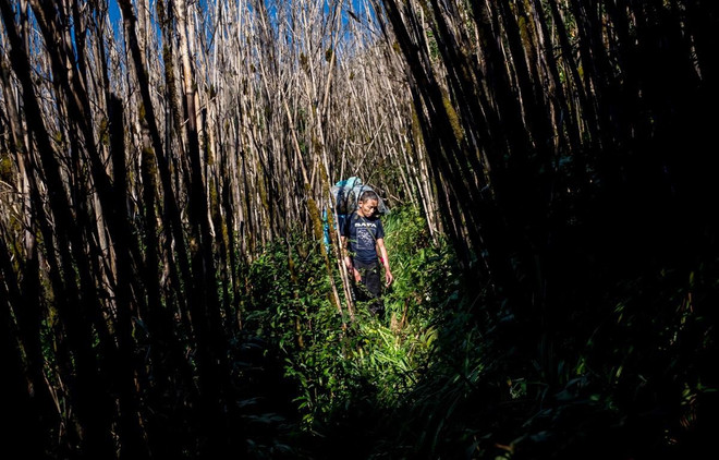 Le Vietnam a pour la première fois un représentant du jury de World Press Photo ảnh 1