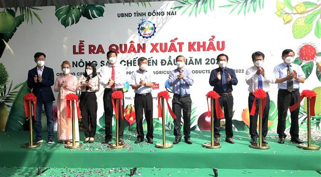 Dong Nai exporte ses premiers lots de fruits transformés en 2022 ảnh 1