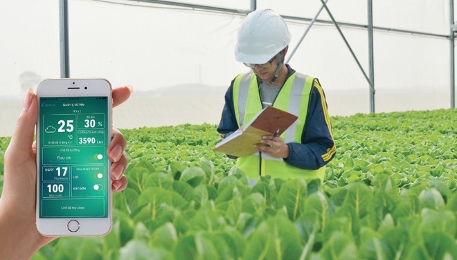 Un parc agricole de haute technologie surgira de terre à Quang Ninh ảnh 1 Un parc agricole de haute technologie surgira de terre à Quang Ninh ảnh 1