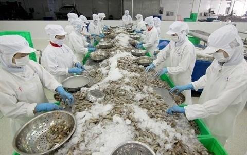 Les exportateurs de crevette bénéficient des droits de douane nuls ảnh 1 Les exportateurs de crevette bénéficient des droits de douane nuls ảnh 1