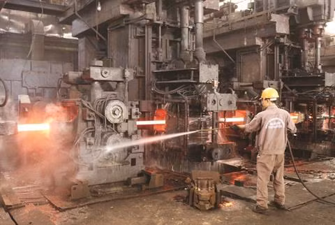 Panorama des entreprises au Vietnam ảnh 1