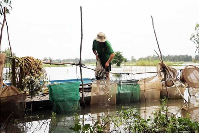 Delta du Mékong: les inondations devraient arriver plus tôt cette année ảnh 1 Delta du Mékong: les inondations devraient arriver plus tôt cette année ảnh 1