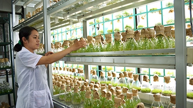 L’Australie et la région du delta du Mékong coopèrent dans l’agriculture ảnh 1 L’Australie et la région du delta du Mékong coopèrent dans l’agriculture ảnh 1