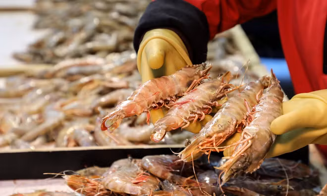 Exportations de produits aquatiques: plus de 2 milliards de dollars attendus au 2e trimestre ảnh 1