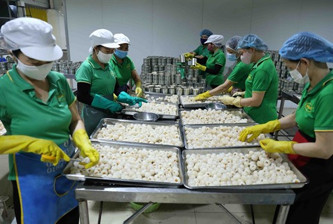 Les fruits vietnamiens de plus en plus appréciés à l’étranger ảnh 1 Les fruits vietnamiens de plus en plus appréciés à l’étranger ảnh 1