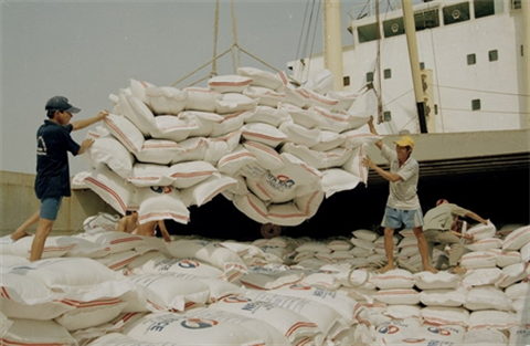 Exportation de 2,93 millions de tonnes de riz en sept mois ảnh 1 Exportation de 2,93 millions de tonnes de riz en sept mois ảnh 1