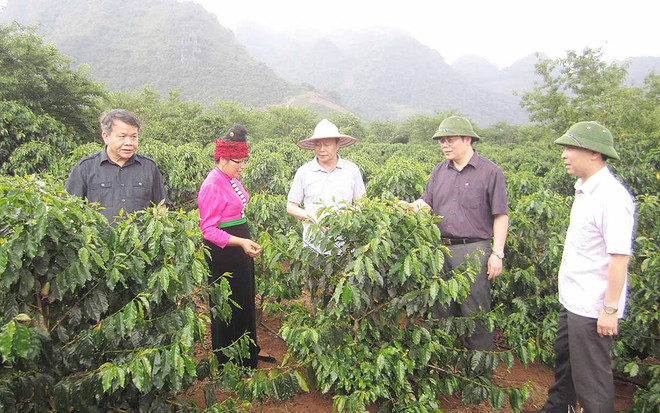 Le 7e Congrès de l’Association des agriculteurs d'Asie pour un développement rural durable ảnh 1