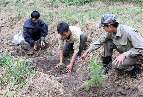L’appel de la forêt du Tây Nguyên ảnh 2 L’appel de la forêt du Tây Nguyên ảnh 2
