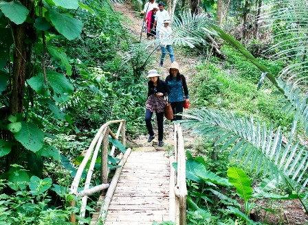 Binh Thuan promeut le développement de produits touristiques associés à une agriculture durable ảnh 1 Binh Thuan promeut le développement de produits touristiques associés à une agriculture durable ảnh 1