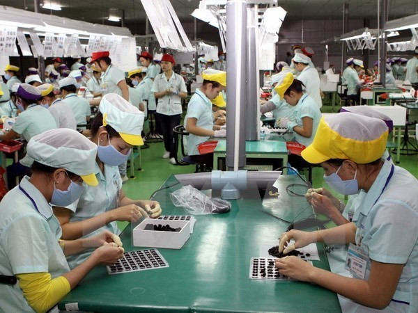 Vietnam-Laos : coopération renforcée dans l'emploi ảnh 1 Vietnam-Laos : coopération renforcée dans l'emploi ảnh 1