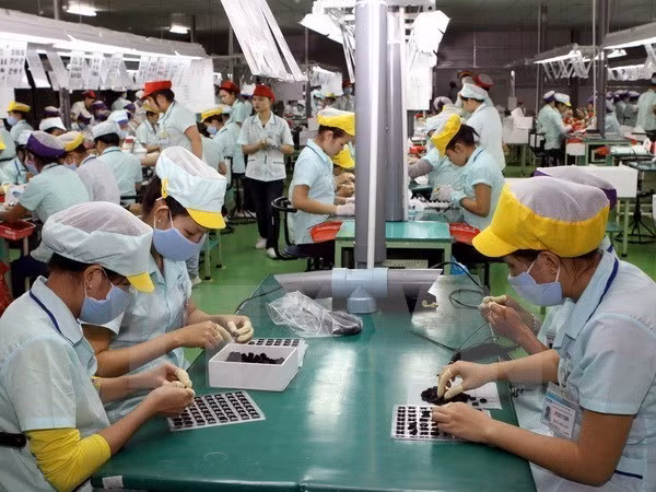 Vietnam-Laos : coopération renforcée dans l'emploi ảnh 1