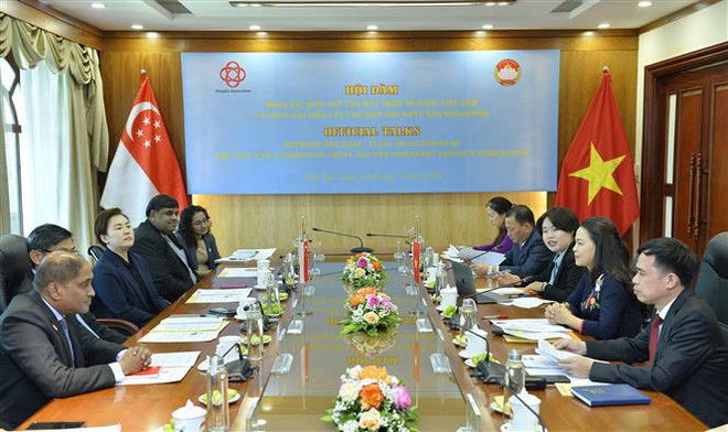 Le Front de la Patrie du Vietnam et l'Association du peuple de Singapour partagent leur expérience ảnh 1