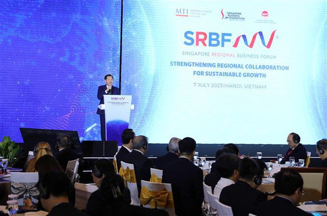 Moteur de développement des relations entre le Vietnam et Singapour ảnh 1