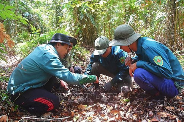Plus de 1.450 milliards de dongs pour développer le tourisme durable au parc national d'U Minh Ha ảnh 2 Plus de 1.450 milliards de dongs pour développer le tourisme durable au parc national d'U Minh Ha ảnh 2
