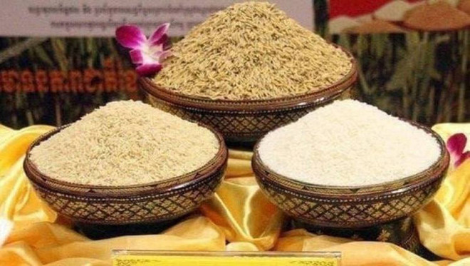 Cambodge : les exportations de riz décortiqué rapportent près de 230 millions de dollars ảnh 1