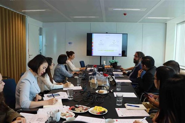 Le Vietnam renforce sa coopération scientifique et technologique avec la Belgique et le Luxembourg ảnh 1 Le Vietnam renforce sa coopération scientifique et technologique avec la Belgique et le Luxembourg ảnh 1
