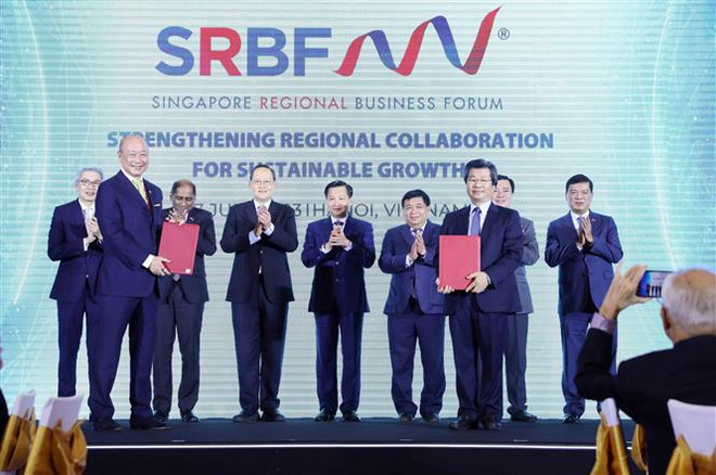 Moteur de développement des relations entre le Vietnam et Singapour ảnh 2 Moteur de développement des relations entre le Vietnam et Singapour ảnh 2