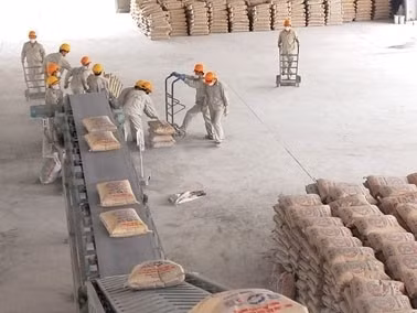 Le SCG renforce son investissement au Vietnam ảnh 1