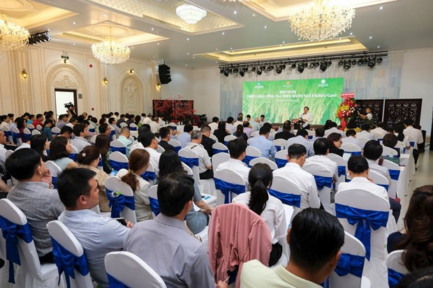 Perspectives des exportations de riz au cours des derniers mois de l'année ảnh 4 Perspectives des exportations de riz au cours des derniers mois de l'année ảnh 4