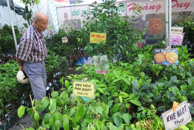 Ouverture de la Foire agricole et commerciale de la région du Sud-Est 2016 ảnh 1