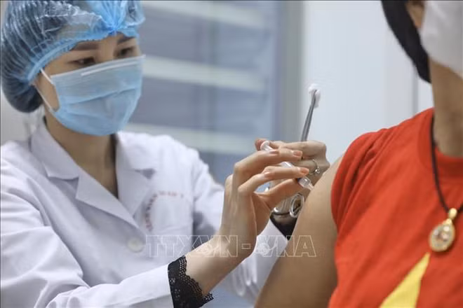 Le Vietnam compte cinq vaccins candidats contre le coronavirus ảnh 2
