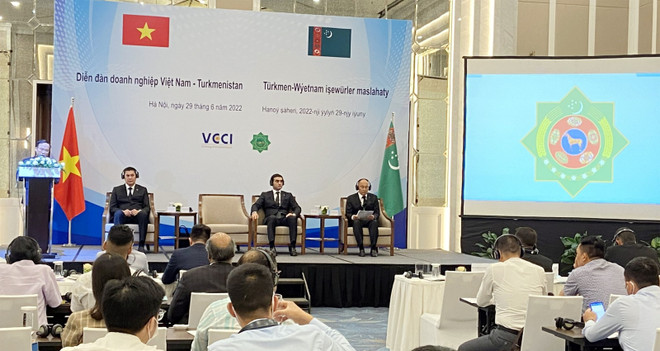Opportunités de coopération pour les entreprises vietnamiennes et turkmènes ảnh 1