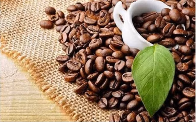 Les exportations de café ont dépassé deux milliards de dollars en cinq mois ảnh 1