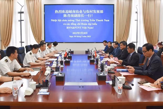Poste-frontière intelligent, une initiative au service du commerce agricole avec la Chine ảnh 2