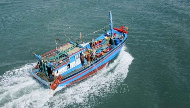 đ IdĂ©es : Le Vietnam se mobilise pour faire retirer le carton jaune de la CE áșŁnh 2 đ IdĂ©es : Le Vietnam se mobilise pour faire retirer le carton jaune de la CE áșŁnh 2