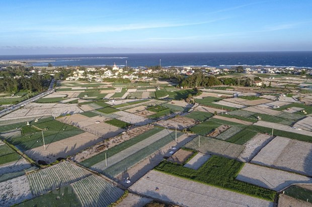 Le Vietnam a beaucoup de marge pour promouvoir le développement urbain vert ảnh 2