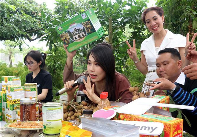 Les produits agricoles de Hung Yên font leur promotion sur Tiktok ảnh 1 Les produits agricoles de Hung Yên font leur promotion sur Tiktok ảnh 1