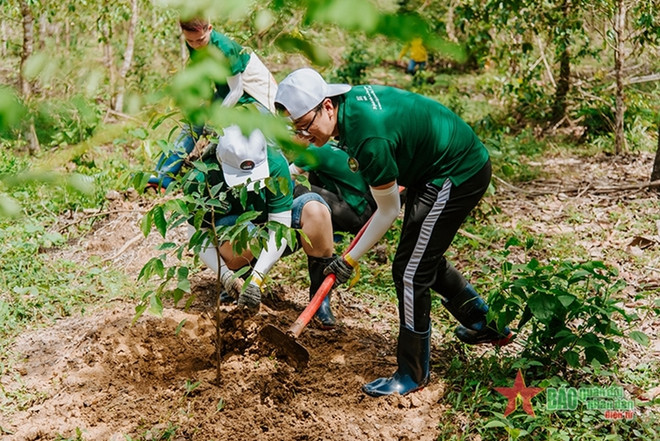 Le Vietnam a planté 85.600 hectares de forêt plantées en cinq mois ảnh 1 Le Vietnam a planté 85.600 hectares de forêt plantées en cinq mois ảnh 1