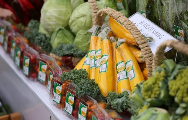 Le Vietnam parmi les pays à l’avant-garde du développement économique durable ảnh 3 Le Vietnam parmi les pays à l’avant-garde du développement économique durable ảnh 3