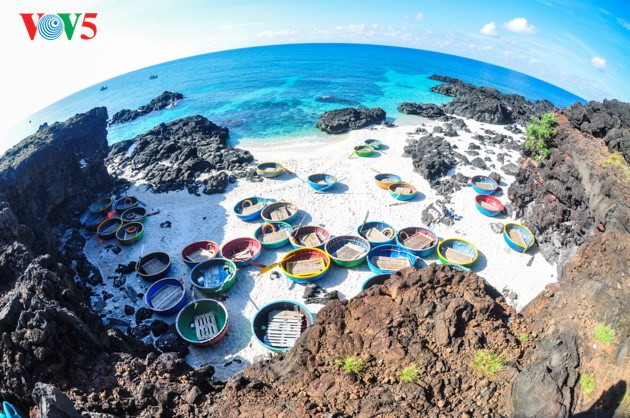 Ly Son fait peau neuve ảnh 3 Ly Son fait peau neuve ảnh 3